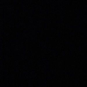 Meet your Posher, Lonnie